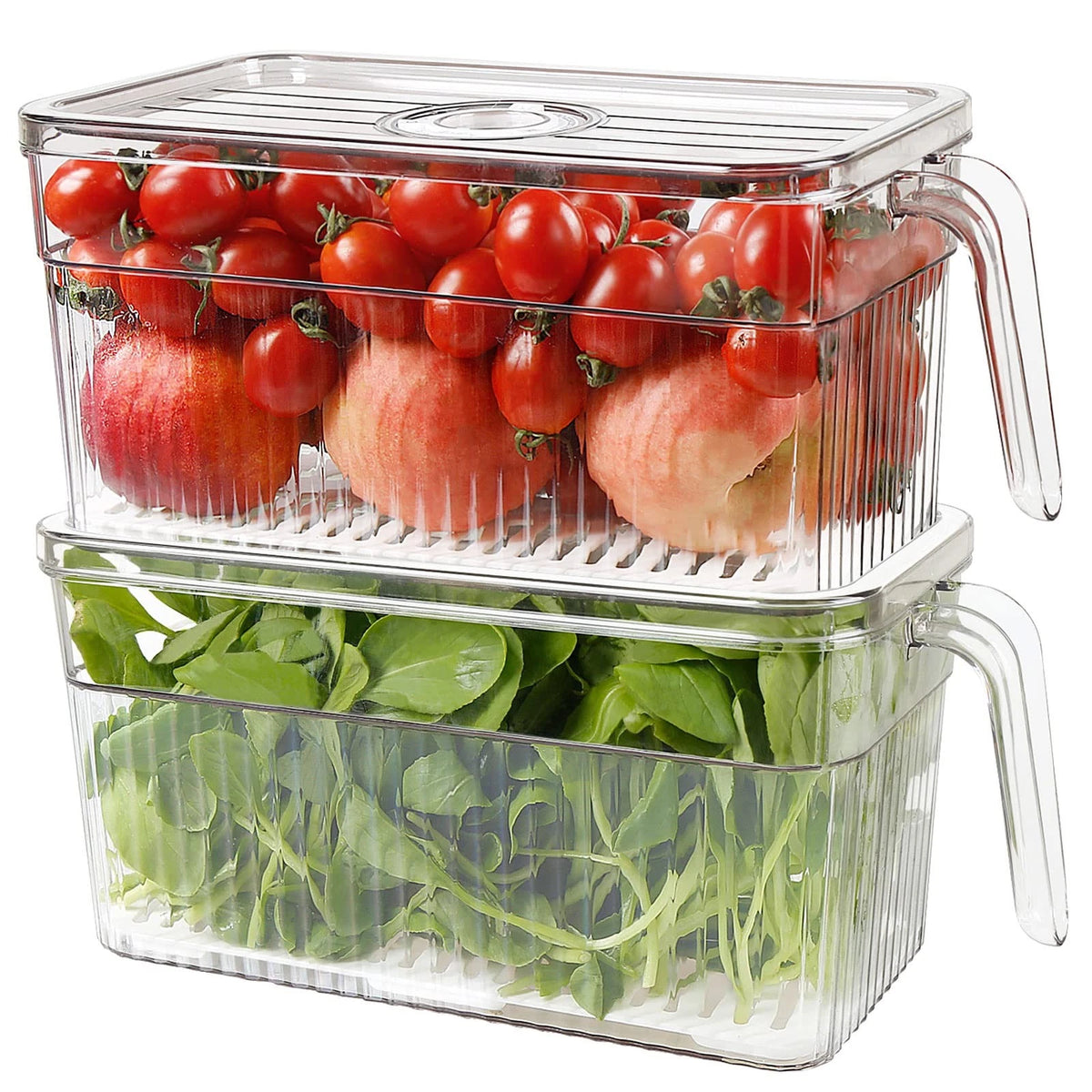 2X Plastic Food Storage Containers for Fridge, Clear