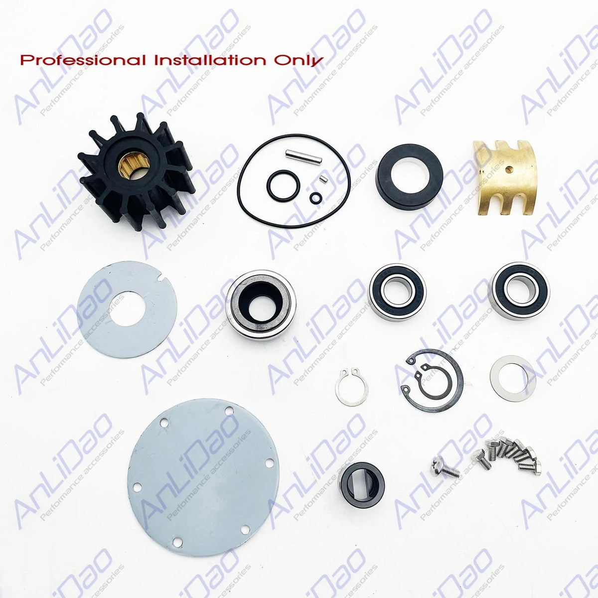 Engine Cooling Pump Repair Kit for Johnson Jabsco (10-24119-2, 32700001)