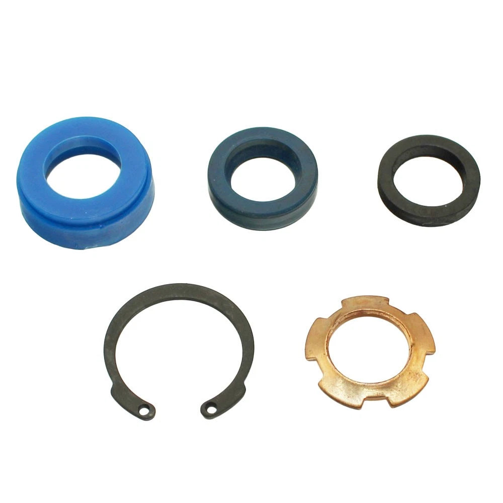 Steering Cylinder Seal Kit for Ford/New Holland (Fits )
