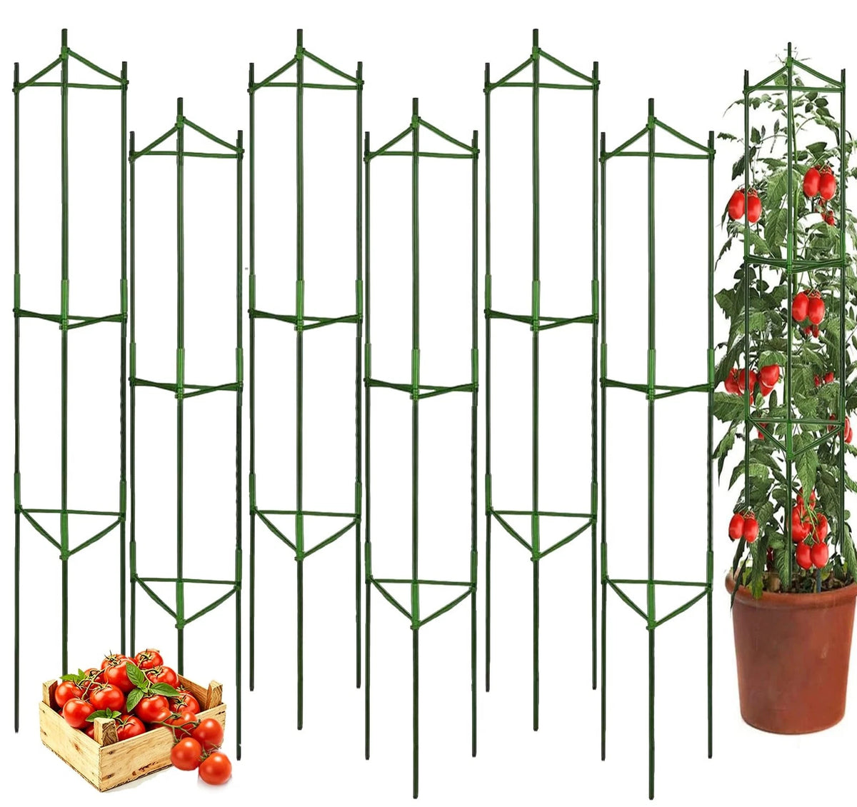 6 Packs Tomato Cage for Garden Plant Support (up to 50.2 Inch)
