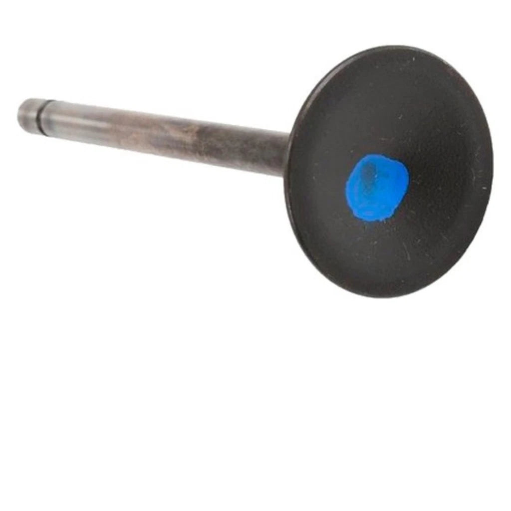 ACDelco Engine Exhaust Valve for Buick LaCrosse (2010–2011) | 12631974