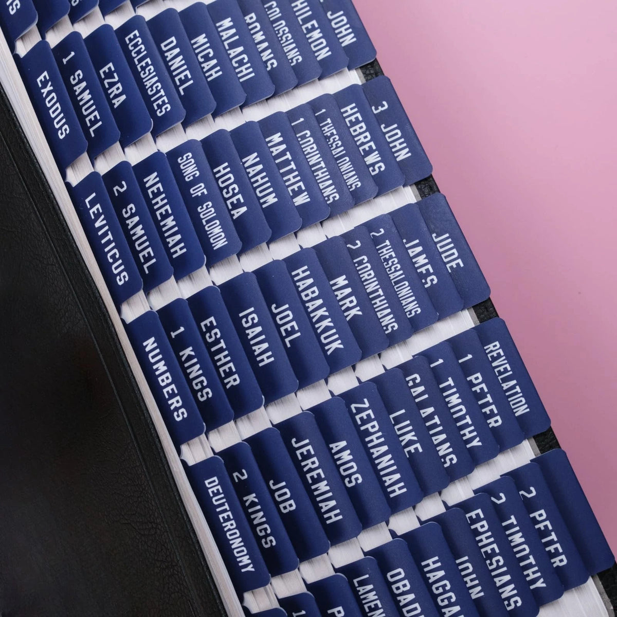 Laminated Bible Tabs for Women and Men - Reposition Blue