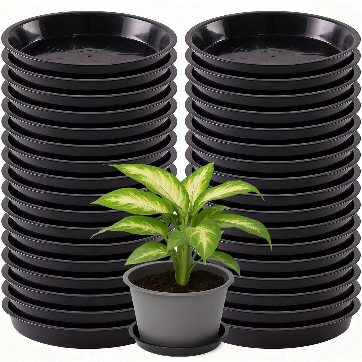 30 Pack Plant Saucer 12 Inches for Pots - Round Plastic Trays