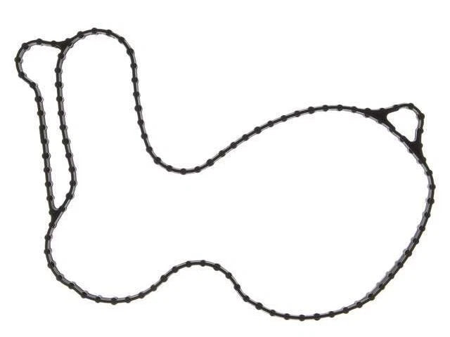Water Pump Gasket for Ford Flex (2012–2019) 54926HBTQ