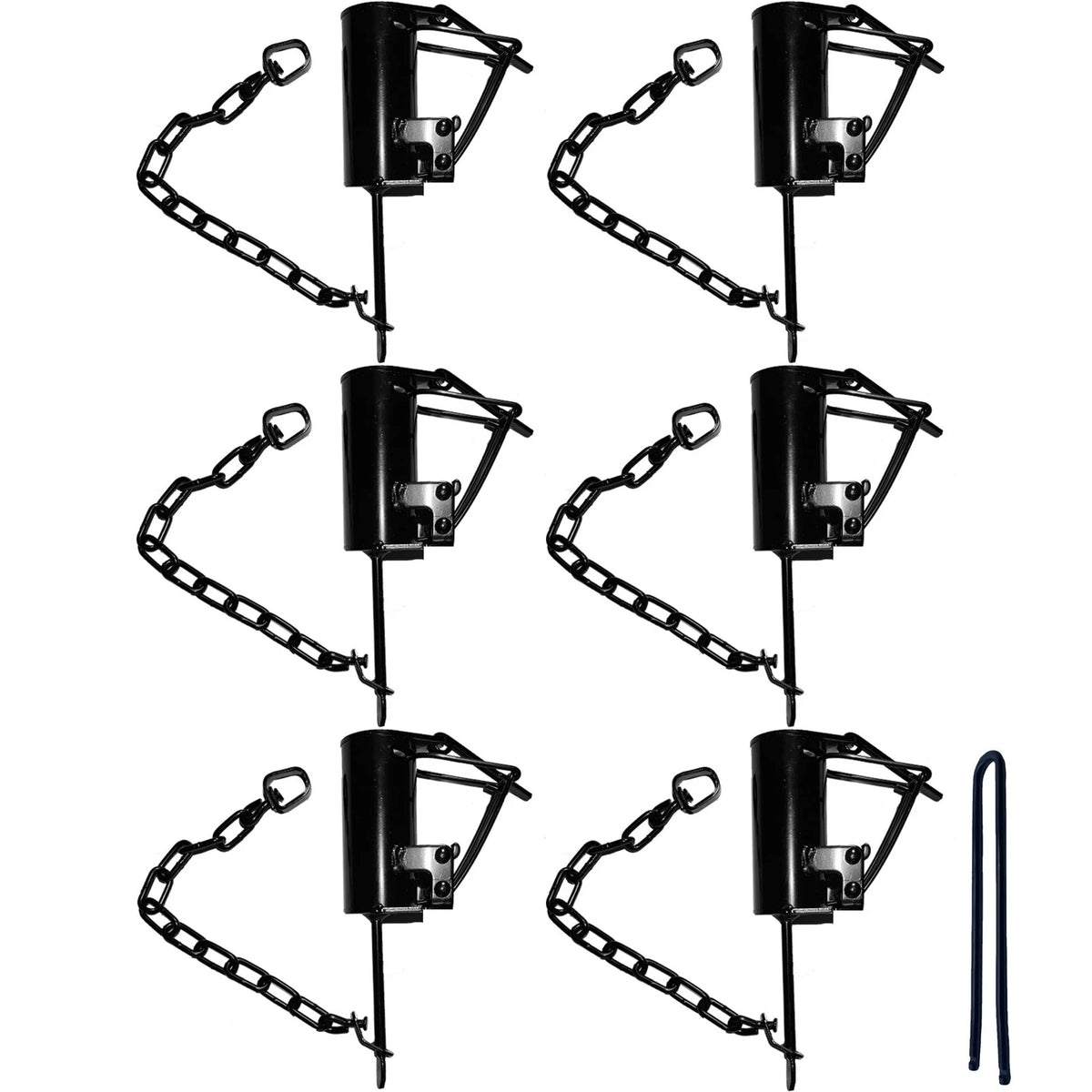 6 Pack Duke DP Dog Proof Coon Traps for Trapping Raccoons