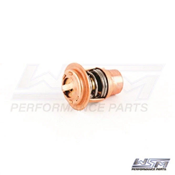 Thermostat for Polaris 650-1200 (1992–2004) 004-265