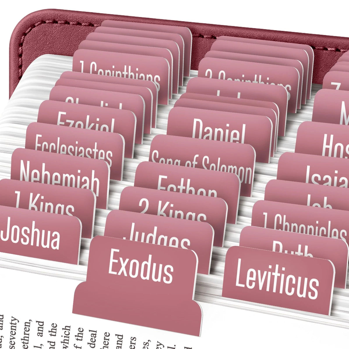Rose Gold Bible Tabs for Old and New Testament (80 Tabs)