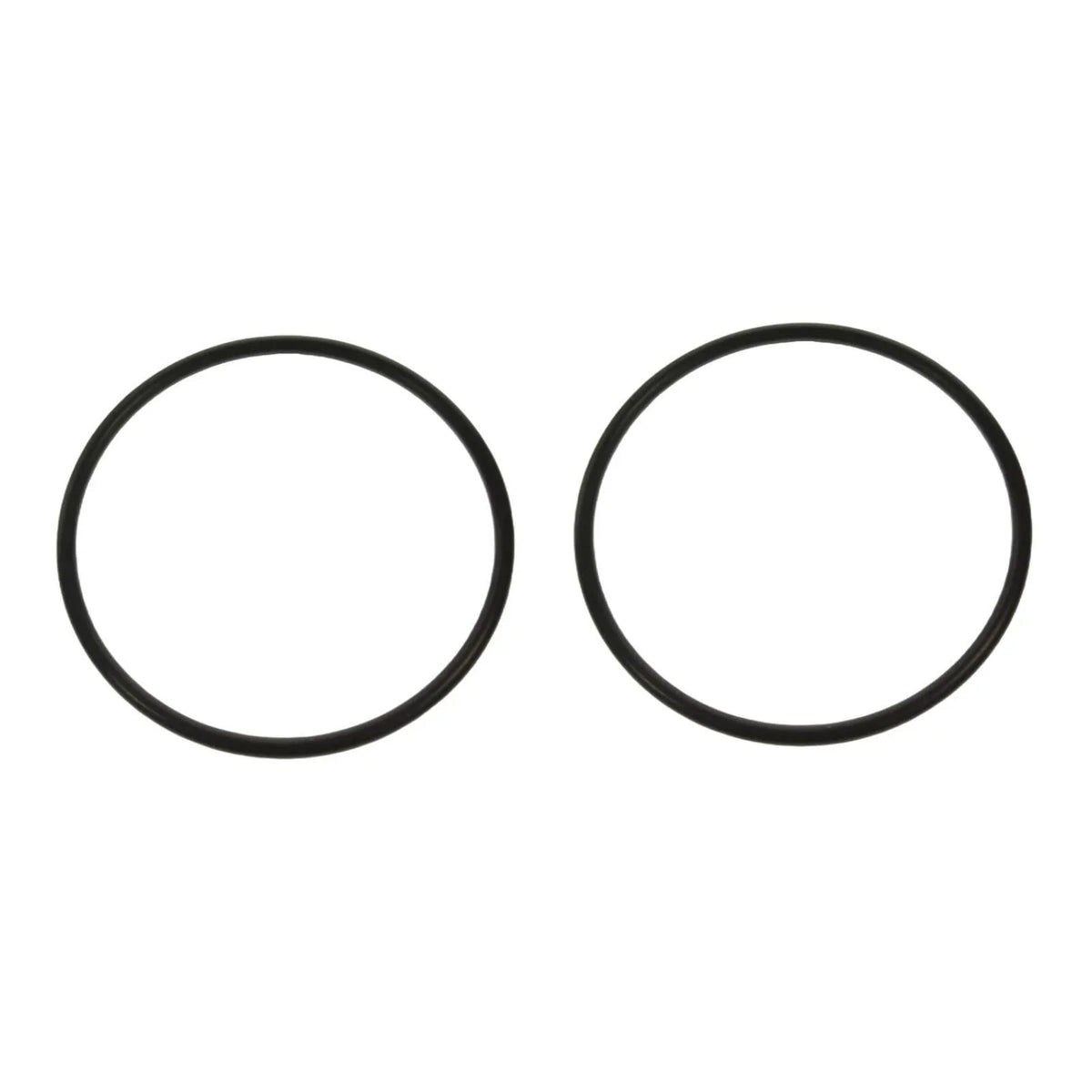Set of 2 O-Rings for Yamaha Outboard (93210-57M09-00)