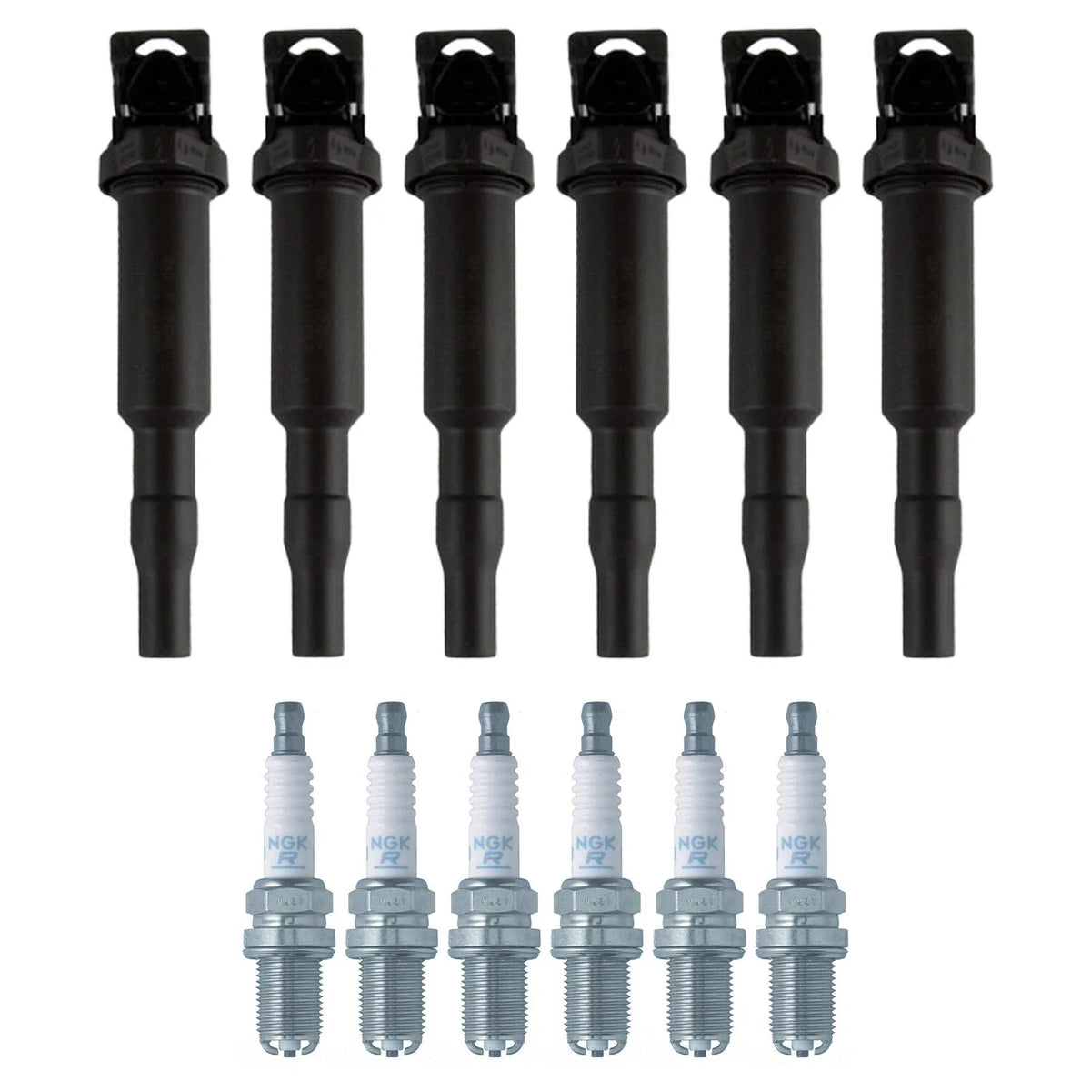Set of 6 Ignition Coils & Spark Plugs for BMW E53 X5 3.0 L6 (2006)