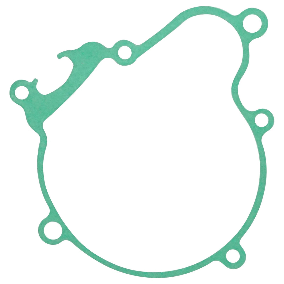 Stator Cover Gasket for KTM (TS5015GT261MG)