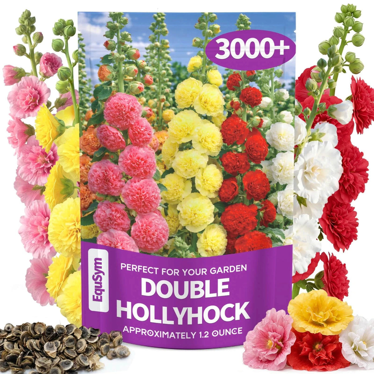 3000+ Double Hollyhock Flower Seeds Bulk Pack