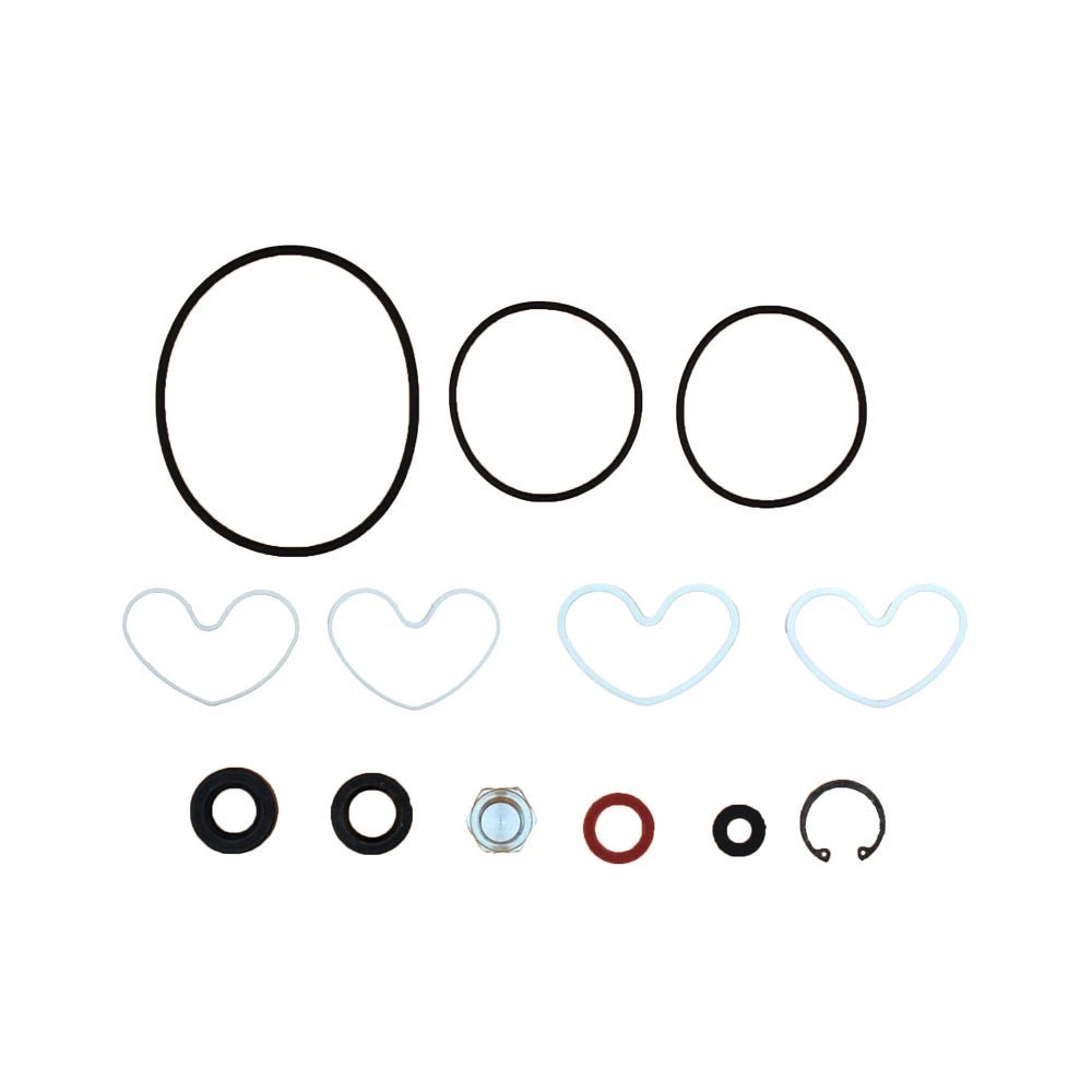 Power Steering Pump Seal Kit for Massey Ferguson (Fits )