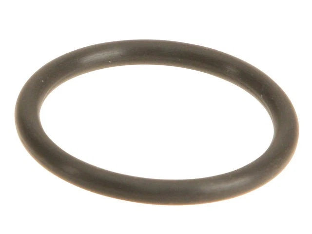 Oil Pick-up Tube Gasket for Ford E250 (2003–2004) 64278SNKM