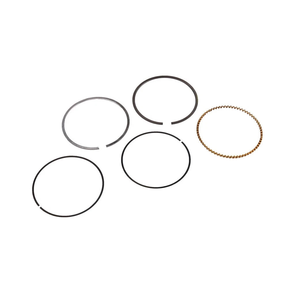 Engine Piston Ring Kit for Buick Rainier (2004–2007) 12670787, OLX-ACD12670787-CL360A51