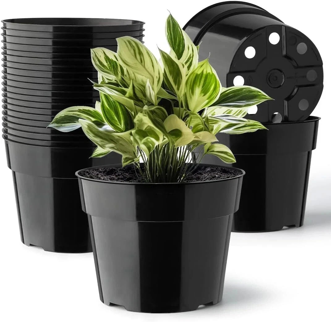 20 Pack 6 Inch Plastic Plant Pots with Saucers and Mesh Mats