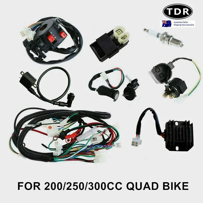 Complete Electrics Quad Generator Coil Harness CDI for Zongshen Loncin 200 250cc