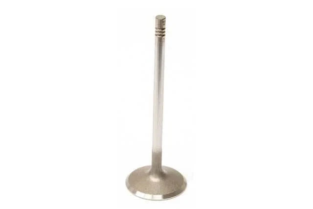 Intake Valve for TRW (261130)