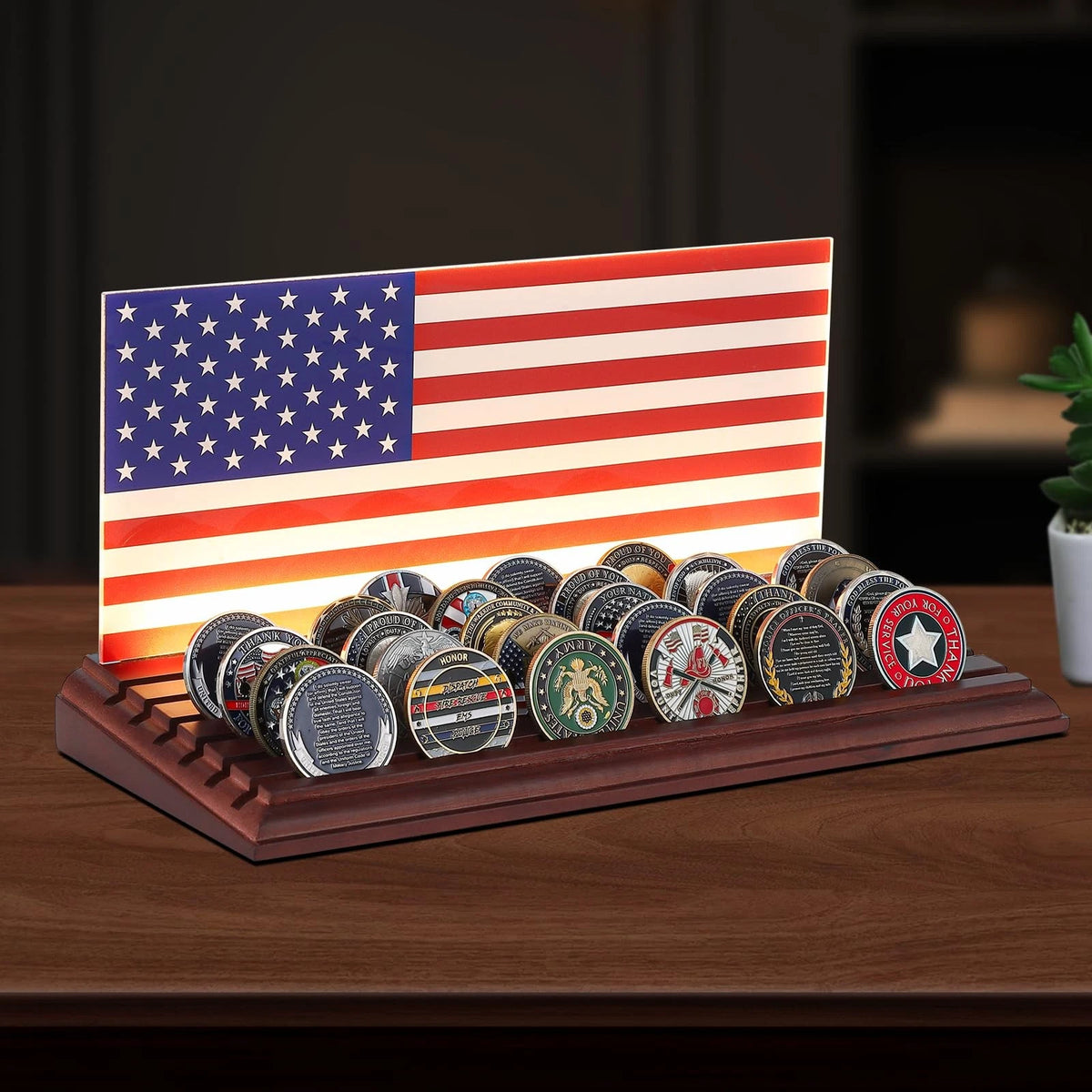 Light Up Coin Holder for American Flag (2010–2023)