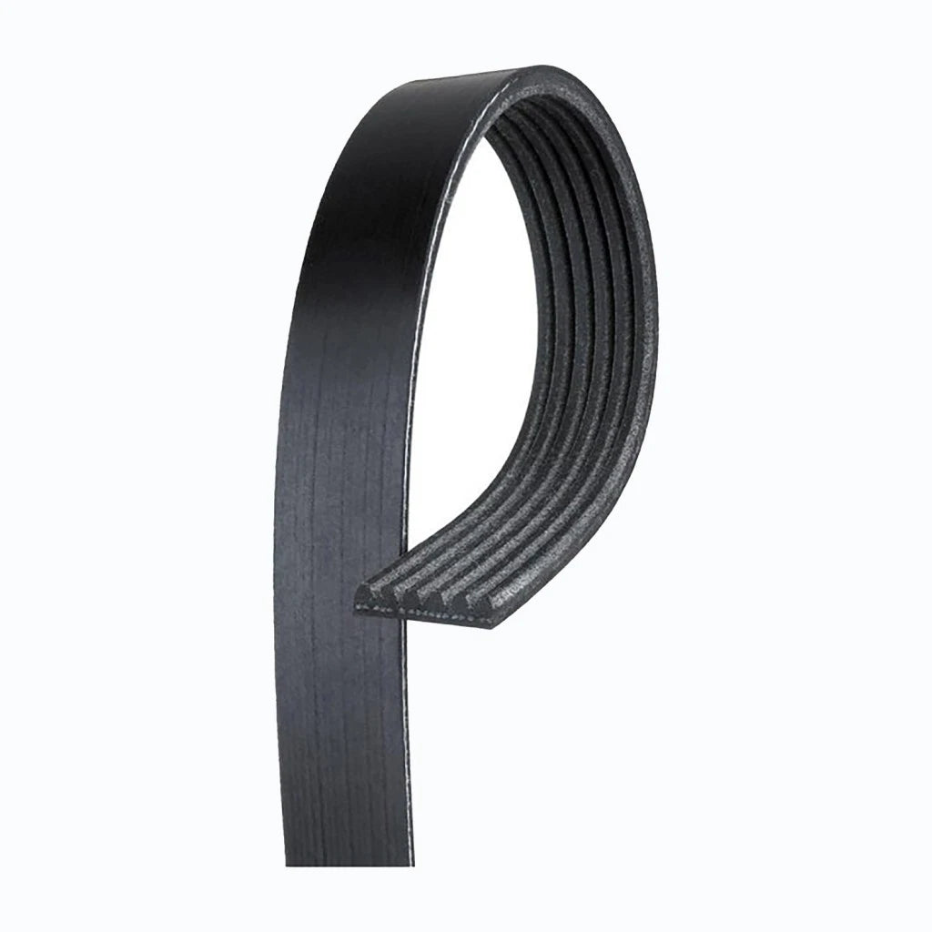 V-Ribbed Serpentine Belt for Chevy Prizm (1998–2002) OLX-ACD6K739-CL360A55