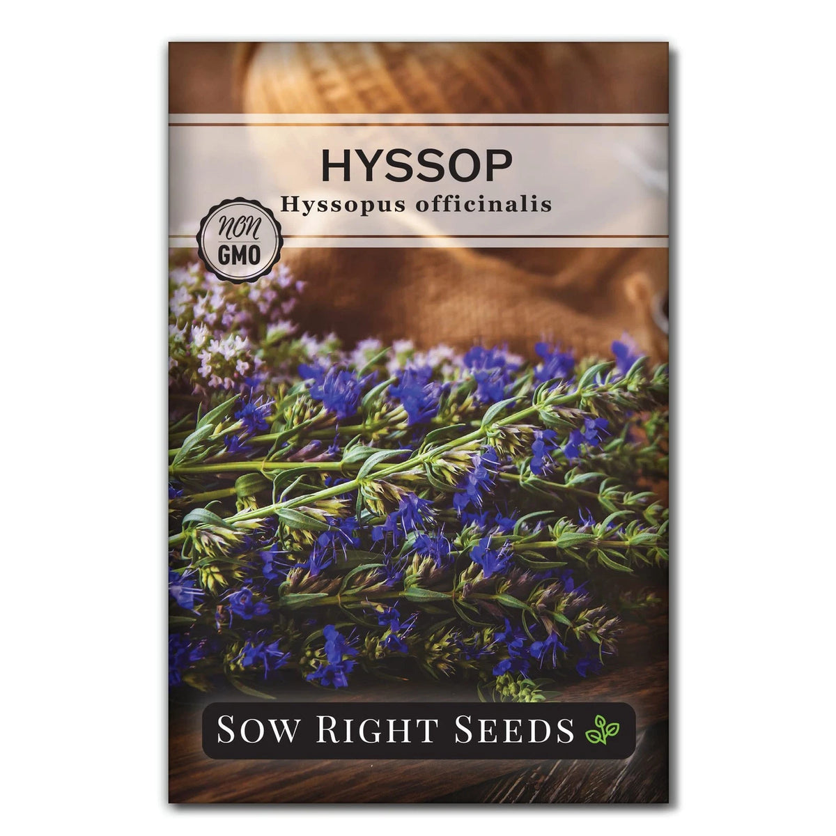 Hyssop Seed for Planting - Medicinal Herb