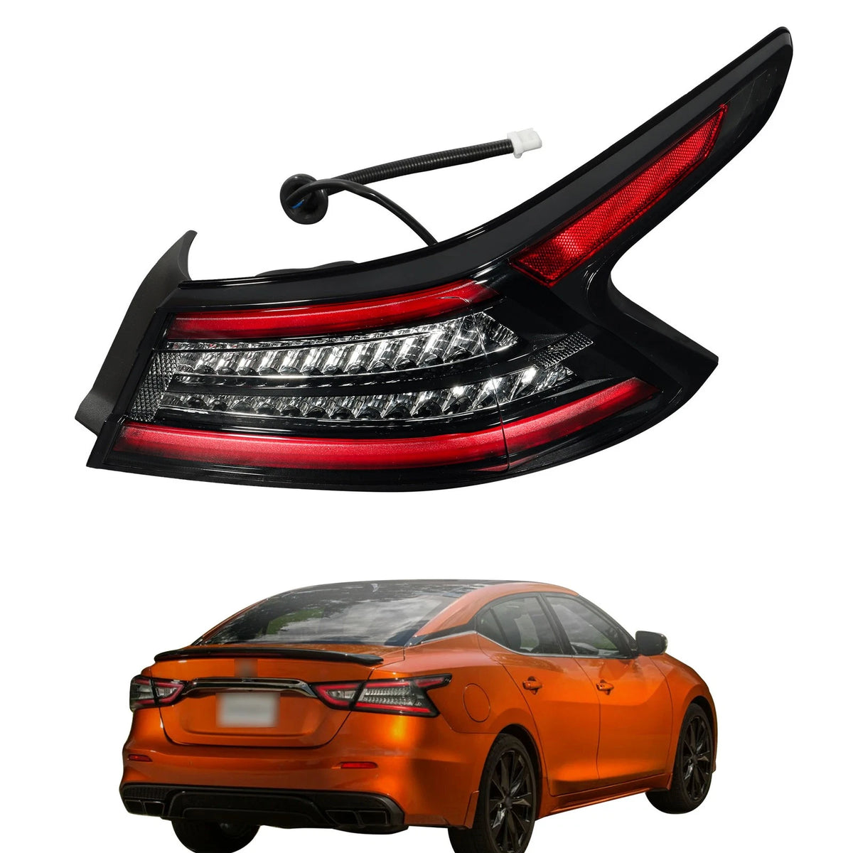 Clear Housing Projector Tail Light for Nissan Maxima (2019–2021) BCK97955K
