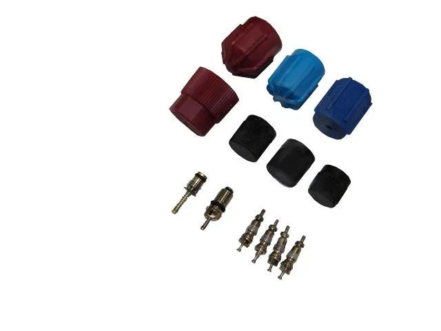 A/C System Valve Core and Cap Kit for Mazda B2200 (1982–1984, 1987–1993) DY421TZ