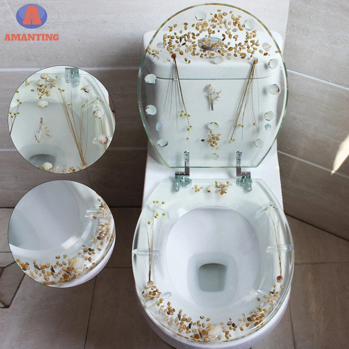 Toilet Seat Sea Shell Resin U Type V Type with Silver Hinges