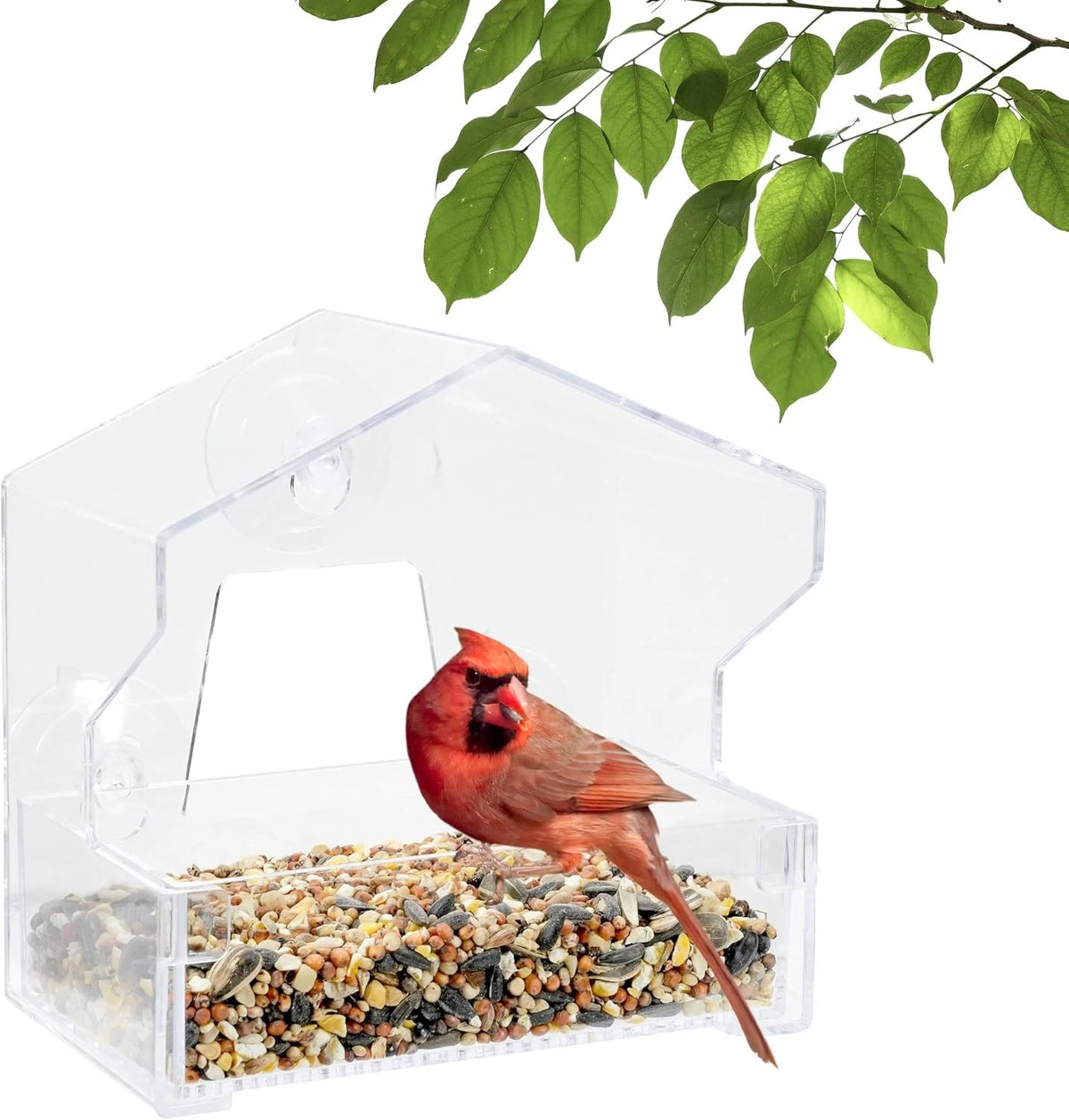 Clear Outdoor Window Bird Feeder for All Makes Models (1/2 Lb Capacity)