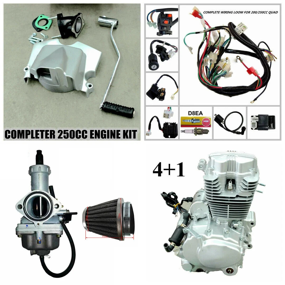 250cc Air Cooled Engine for Chinese Motorbikes (Zongshen)