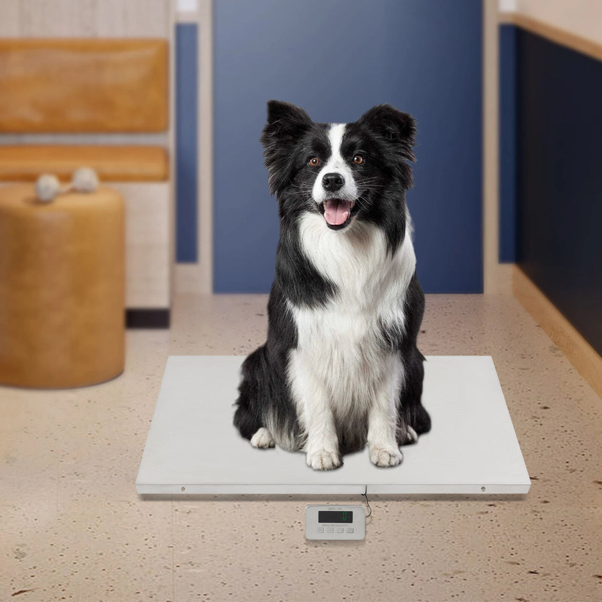 660LBS Weight Scale with HD LED Display for Pets and Shipping