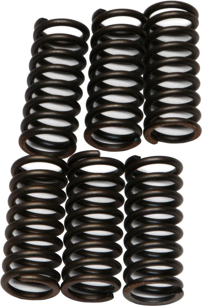 CSK Clutch Spring Kit for EBC (2010–2020)
