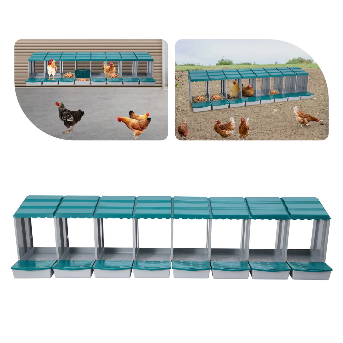 8-Grid Chicken Nesting Box for Egg Storage (PP)