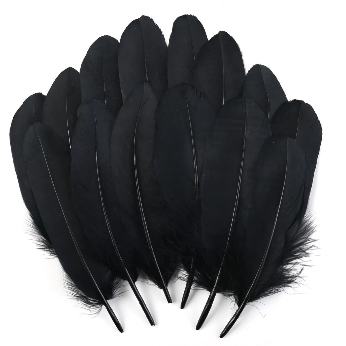 120pcs Natural Black Goose Feathers for Crafting Supplies