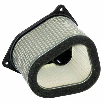 Hiflo Air Filter for
