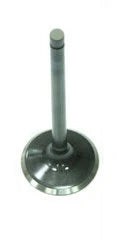 Exhaust Valves for Bronco XU-09164E (AU-09151E)