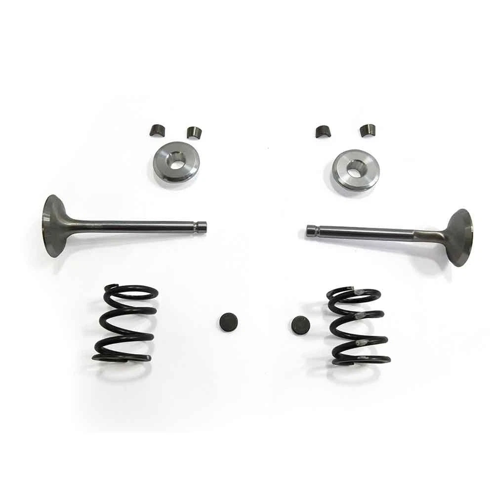 Stainless Steel Valve Kit for Predator 212, Hemi Predator 224 (NRVALVEPACK-HEMI-S)