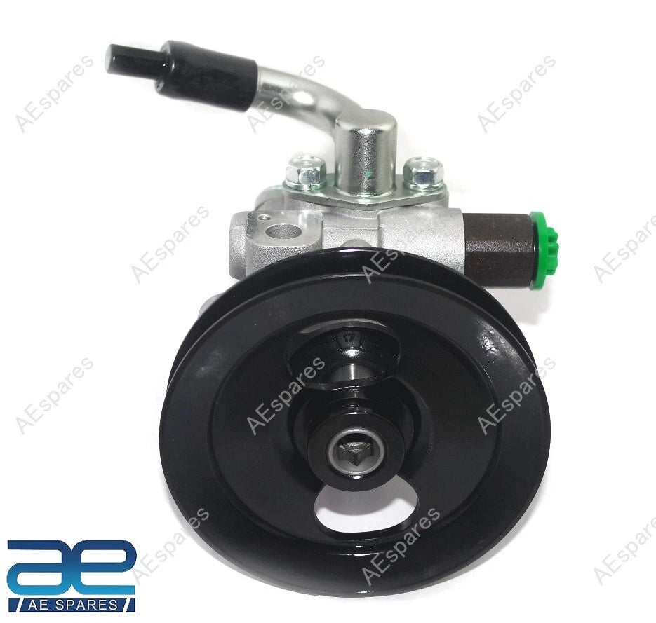 Steering Pump Assembly for Mahindra Roxor