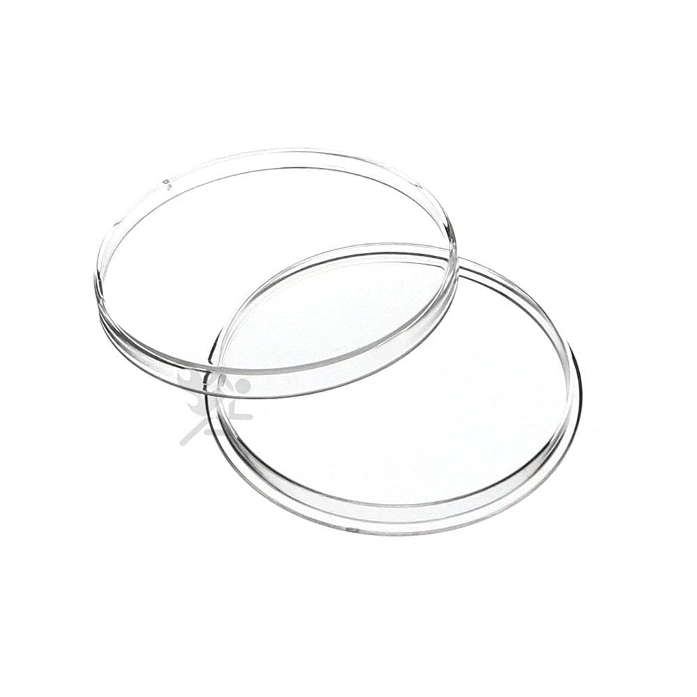 10pcs 40.6mm Coin Holder Capsules for Small Vehicles (Clear)