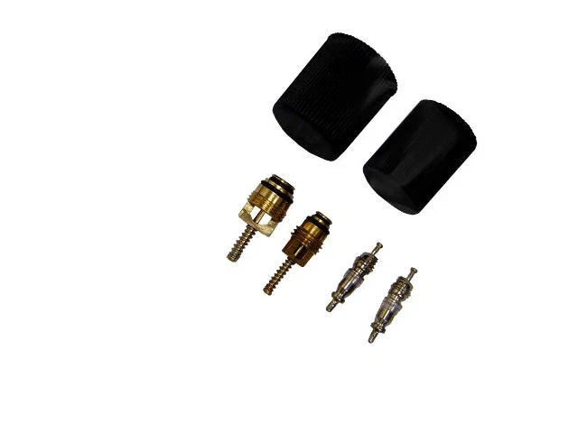 A/C System Valve Core and Cap Kit for Mazda Tribute (2001–2006, 2008–2011) BR397XN