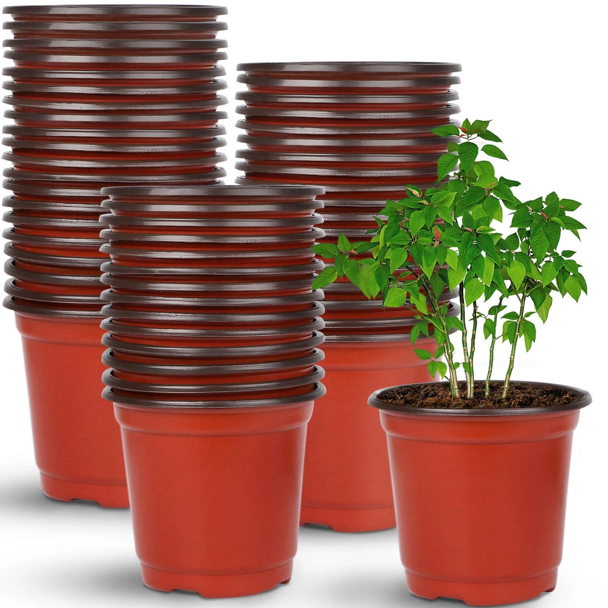 4" Plastic Nursery Pots for Plants (Set of 110)