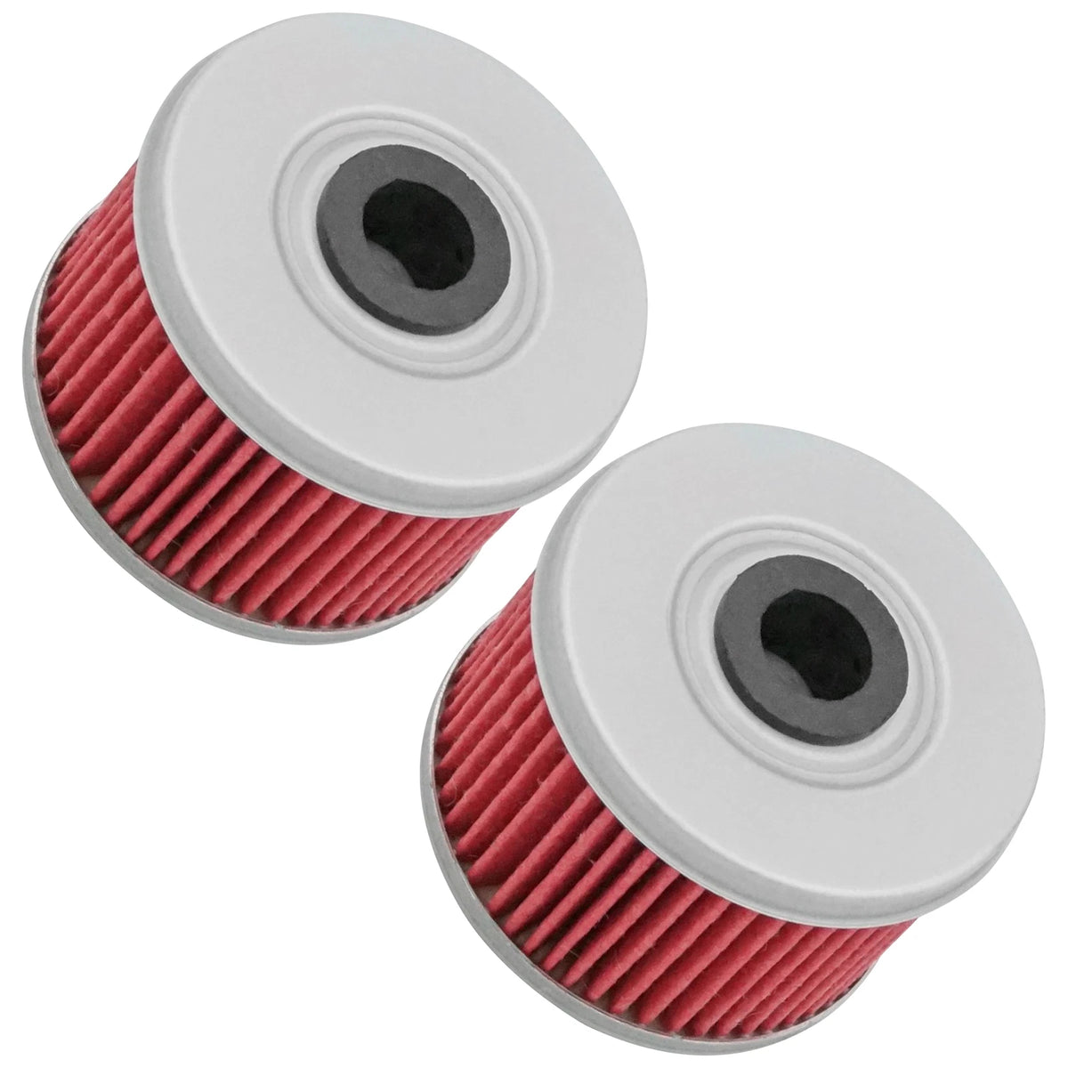 2 Pack Oil Filter FL109A1032, 15412HM5A10, 15412HM5010 for Honda TRX350FE TRX350FM (2000–2006)