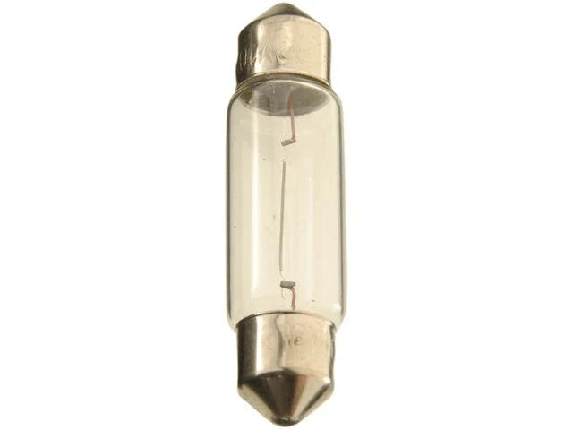 Courtesy Light Bulb for Jaguar XJ8 (2004–2009) TV911CG
