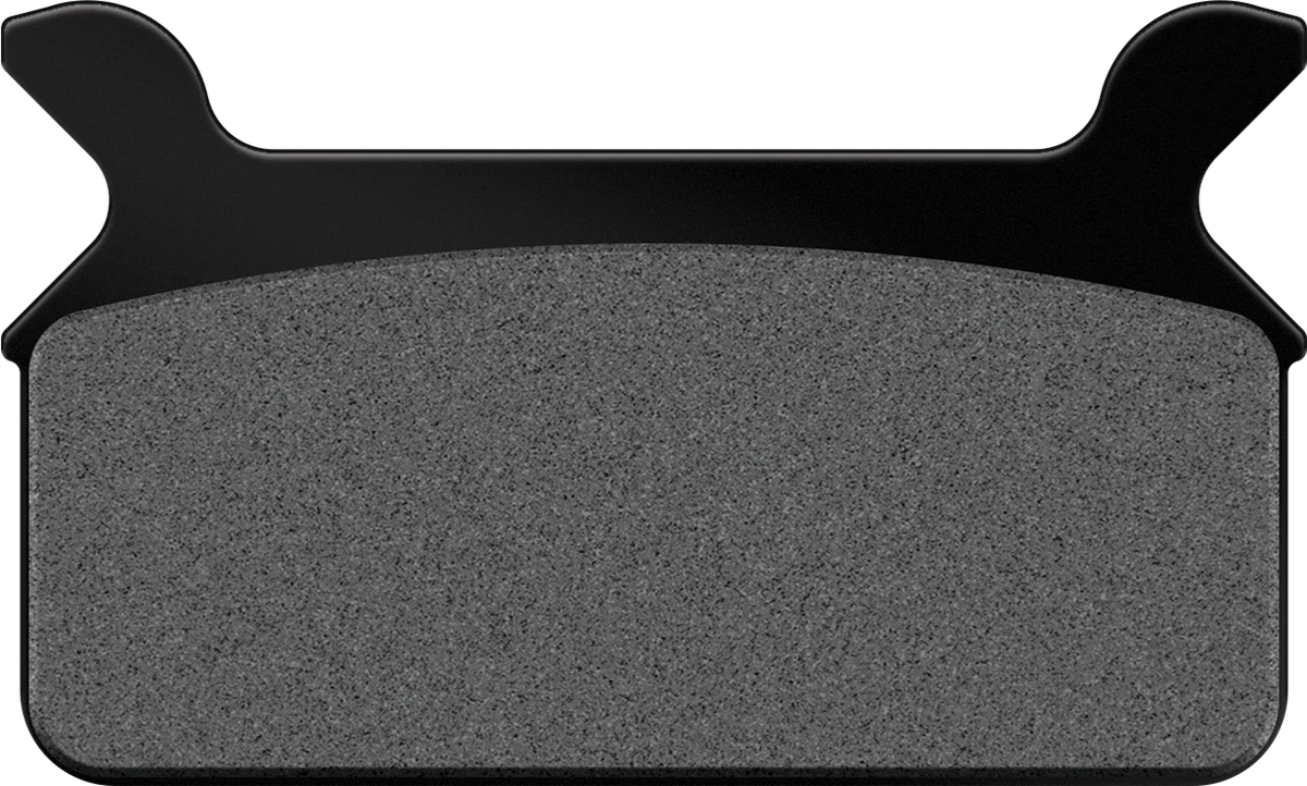 Sintered Brake Pads for Harley Davidson FLHTC & FLHR (1986–1999)