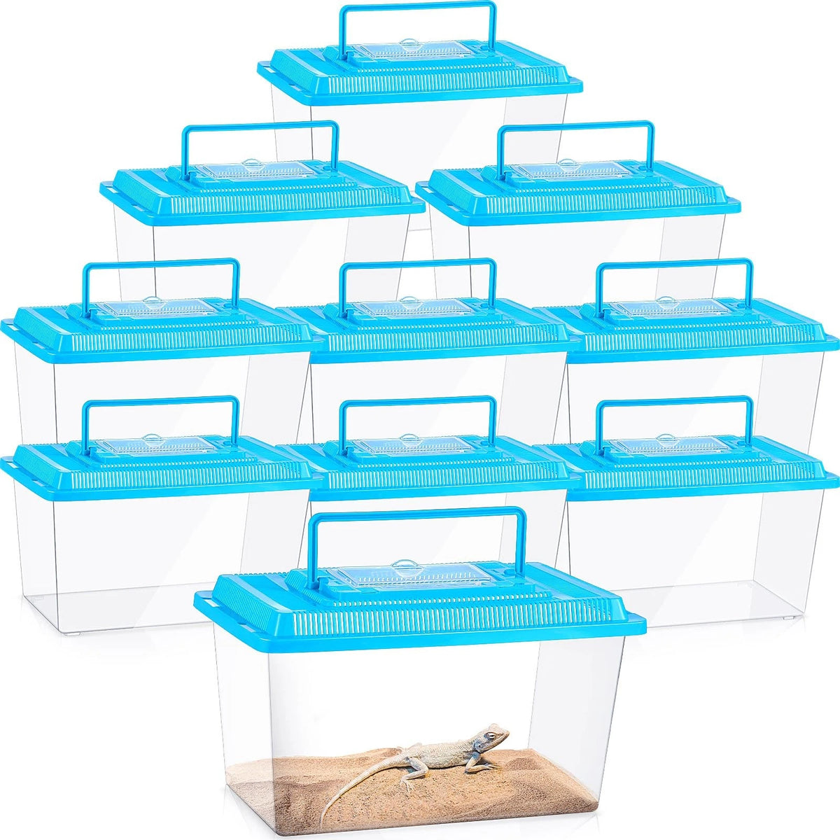 10X Spider Tarantula Enclosure Reptile Terrarium Plastic Portable