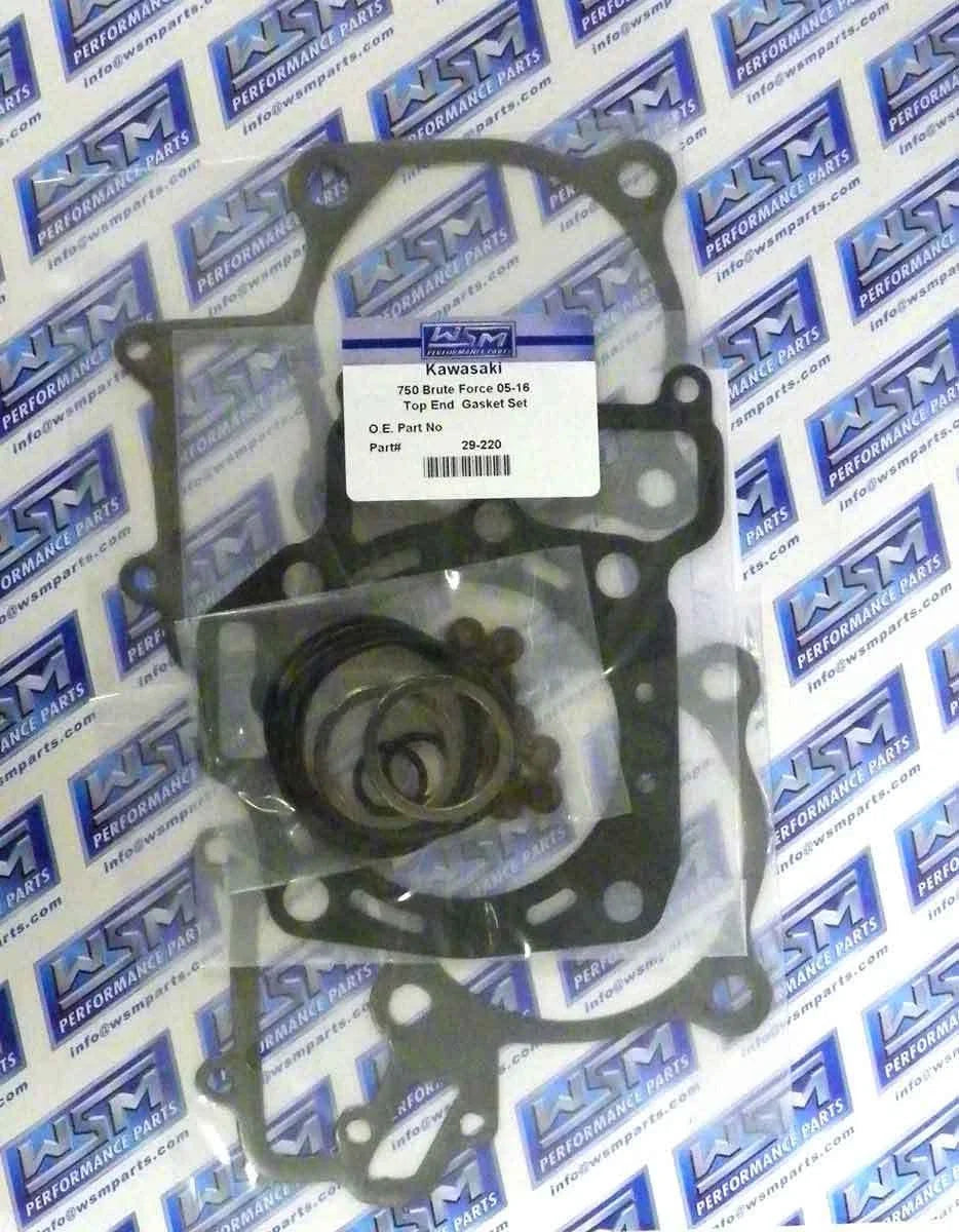 Gasket Kit for WSM