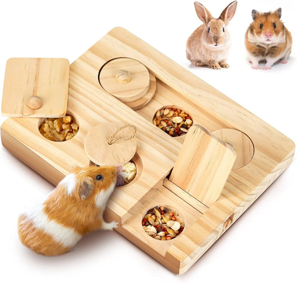 6X Foraging Toys for Guinea Pig (2023)