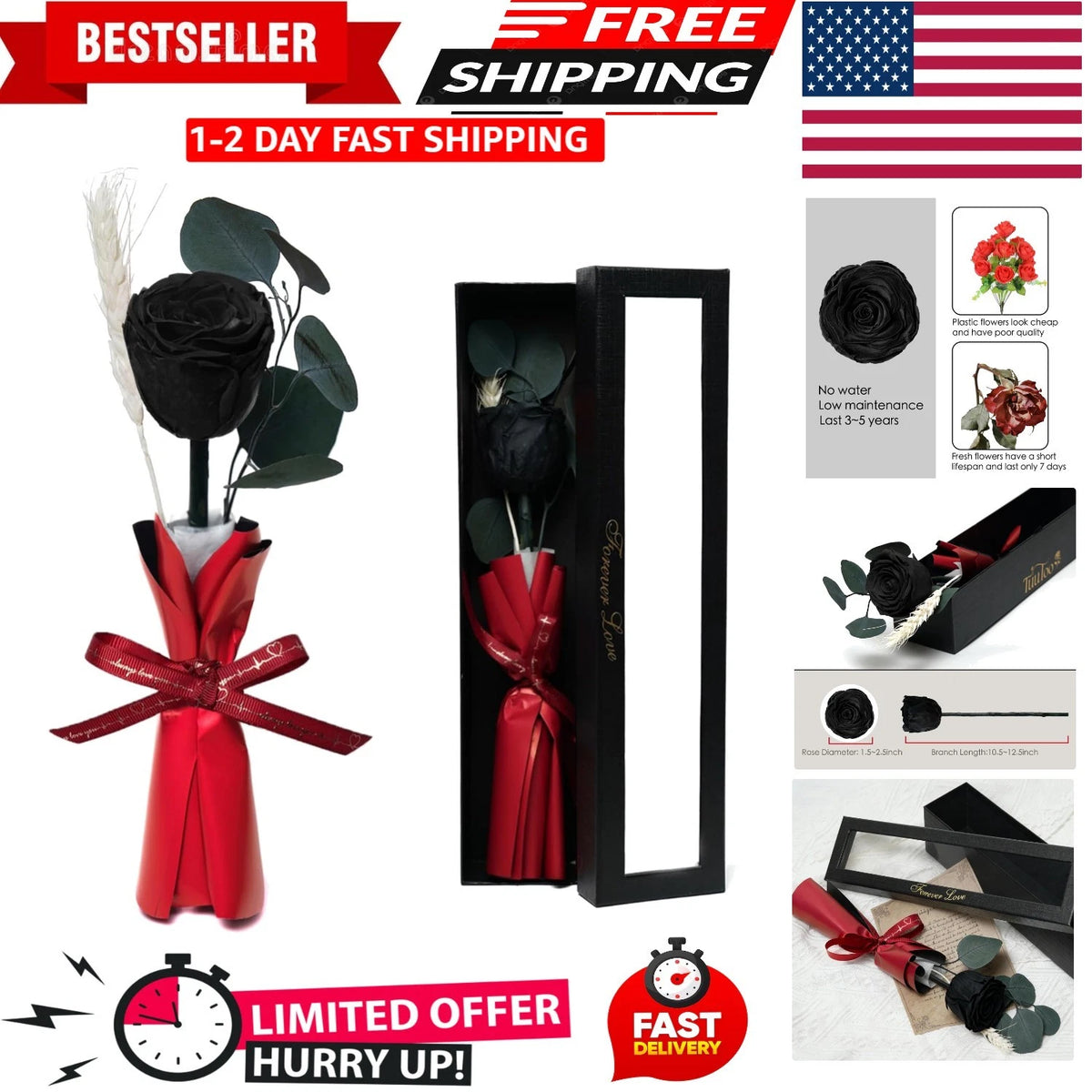 Eternal Black Rose Gift for Women (Birthday)