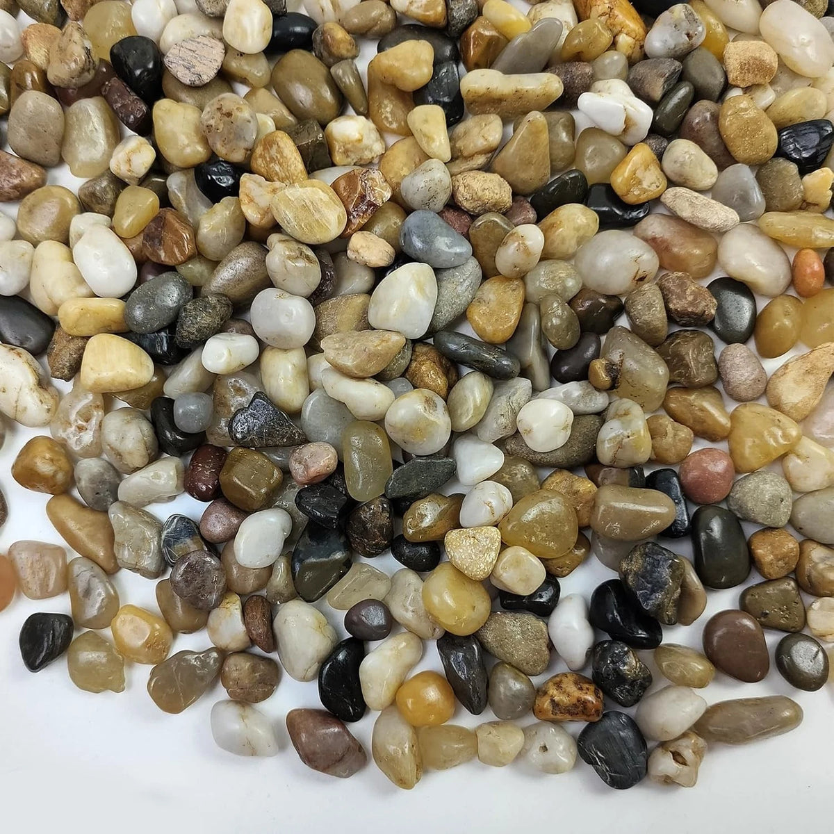 5 lbs Polished Pebbles 3/8 Inch for Plants (No Part Numbers)