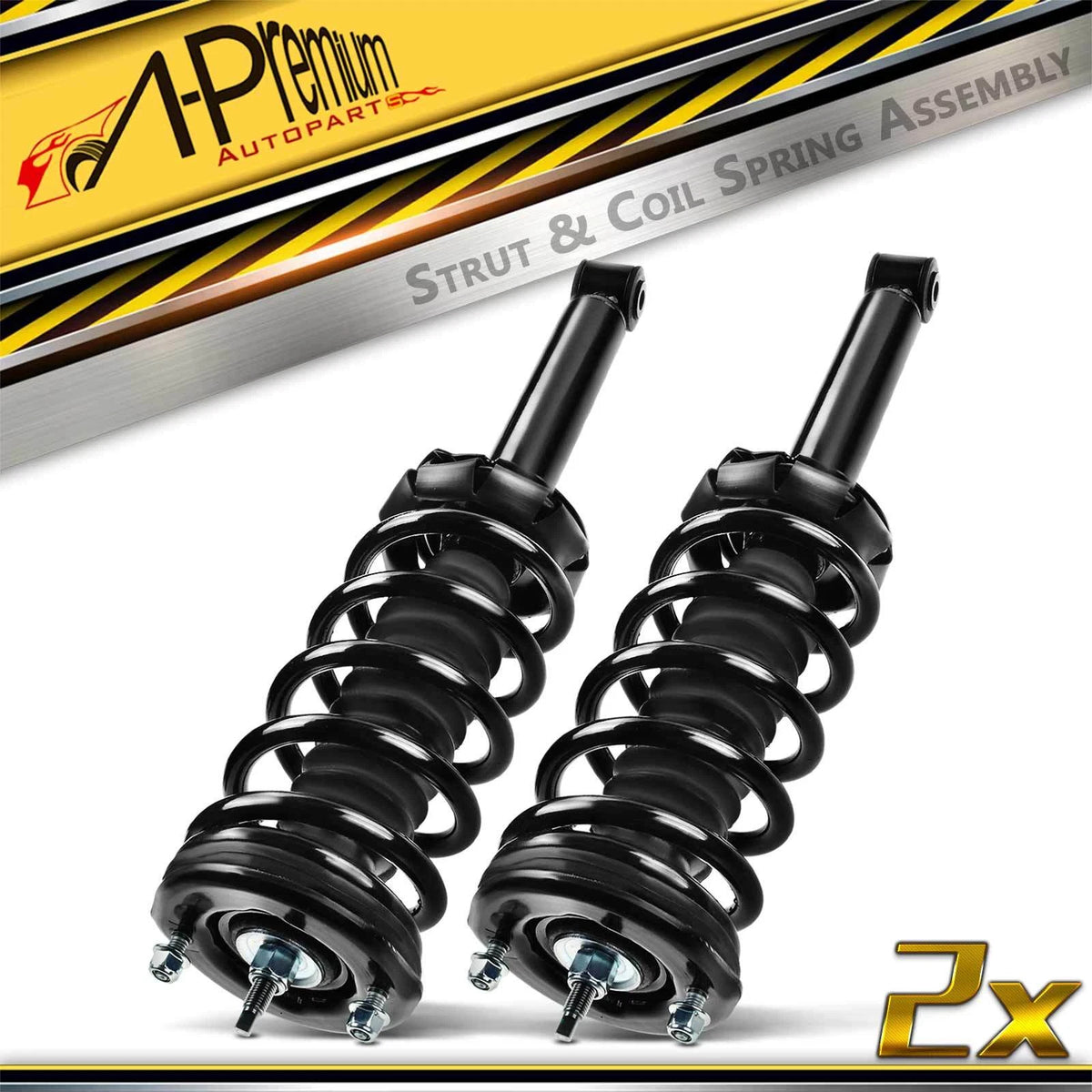Rear Strut w/ Coil Springs Assembly for Nissan Maxima (1995–1999) 171293, 1336316
