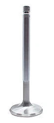 Exhaust Valve for SBC C/6 (1.600in)
